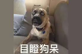 男子报警抓自己的“女友”，真相令人吃惊...法院判了图片