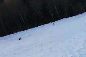 罗马尼亚一男子滑雪时遭棕熊追逐 围观游客大喊提醒图片