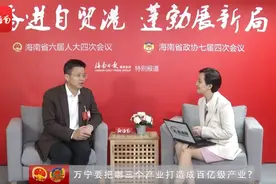新海南会客厅｜万宁市委书记贺敬平：万宁将重点打造3个百亿级产业图片