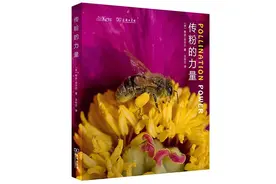 为了吸引传粉者，植物们做出了你想象不到的努力图片