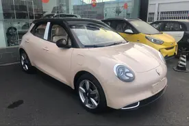 车主调查：欧拉好猫买车实录，续航损耗？怎么质保？等车周期？你关心的问题都在这里图片