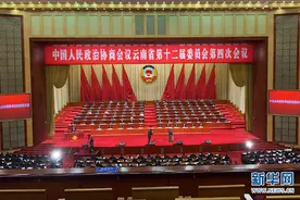 「2021云南两会」为滇谋策 共期发展图片