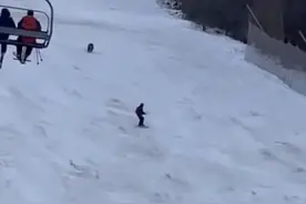 熊口逃生！一名男子滑雪时被熊猛追疯狂逃命图片