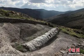 罕见！希腊发现2000万年前化石树 树枝保存完整(图)图片