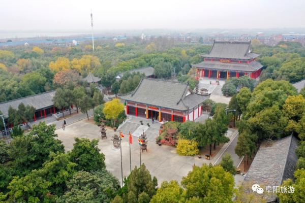 刚刚！阜阳多地宣布，免费