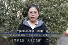 热点快评｜规范养犬须“刚柔并济”视频封面