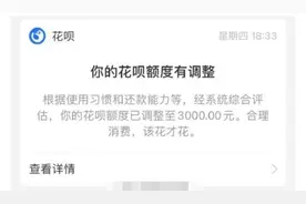 花呗借呗上线额度管理新功能 蚂蚁集团回应：会持续倡导理性消费图片