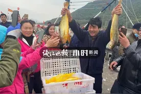 到底有多野？奉化渔民那网价值百万的大黄鱼，基因测序出结果了图片