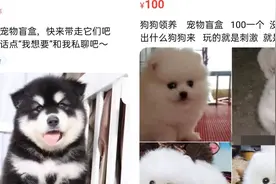 “一旦售出，不退不换”？网购平台出现活体动物盲盒，有卖家表示无法提供健康证明图片