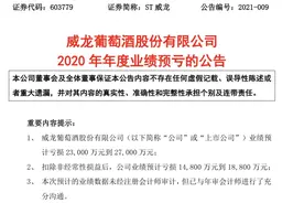 ST威龙2020年业绩预亏背后的“控制权之争”图片