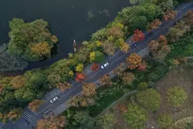 “浙A区域号牌”：浙A的补丁，有望终结本地车外地牌？图片