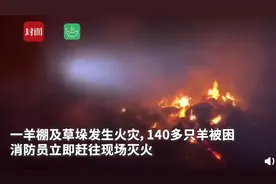 内蒙古赤峰一羊棚起火变“烤台”，上百只羊活活烧死全身乌黑，画面曝光图片