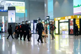 警犬“阿布”的首个春运图片