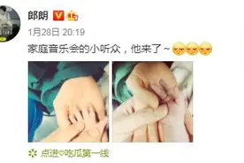 郎朗官宣吉娜生子！网友：小宝贝估计出生就会弹钢琴吧图片