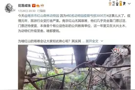 知名动物园因亏损上“热搜”，今天的我们，为何还需要动物园？图片