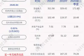 京沪高铁：预计2020年度净利润减少约82.69亿元到91.40亿元，同比减少69.27%~76.56%图片