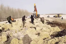 变废为宝 牛粪也能变大用途图片