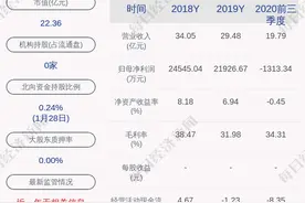 珠江实业：预计2020年度净利润为-6亿元左右图片