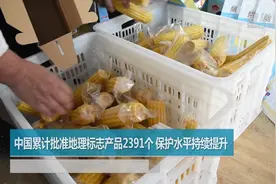 中国累计批准地理标志产品2391个 保护水平持续提升视频封面