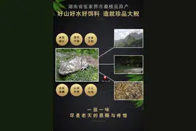 这道美食，你品尝过吗？图片