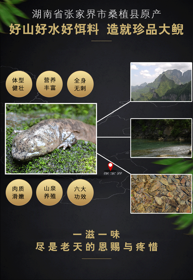 这道美食，你品尝过吗？