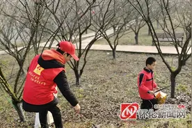 洪江区：雷锋青少年开展爱我青山绿水，护我嵩云美景活动图片