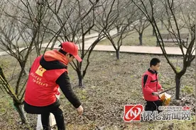 洪江区：雷锋青少年开展爱我青山绿水，护我嵩云美景活动图片