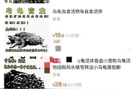 吓人！抽盲盒竟然抽到一具尸体图片