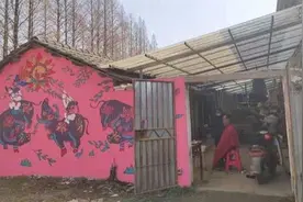 欧洲风景被搬到屋墙，3D猫头鹰爬上屋顶！这里的房屋将最美的瞬间记录下来图片