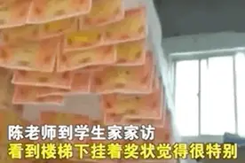 老师做家访，一进门瞬间被“装修”震撼图片