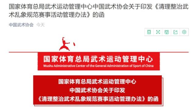游戏当不当掌门破解版（私下约架自封大师对武术乱象）
