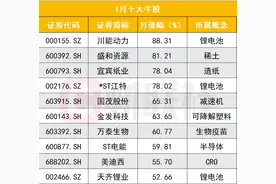 1月十大牛股出炉，锂电板块成牛股集中营，3只个股涨幅“闯进”前十图片