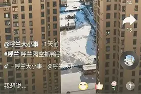 隔空抓鸭子，鸭子没抓着，心挺暖图片
