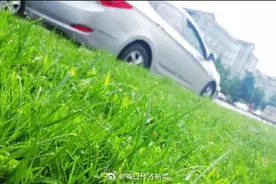 石家庄暂时取消机动车限行 恢复限行时间另行通知图片