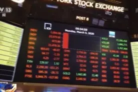 暴涨134%后熔断17次！华尔街上演“史诗级”多空大战，抗议者直呼这太疯狂图片