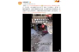泪目！主人去世狗狗原地等候五年图片