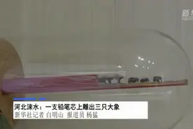 绝了！河北小伙儿在一支铅笔芯上雕出三只大象，网友称21世纪核舟记图片