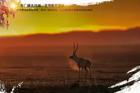 三集广播连续剧《坚守可可西里》录制完成图片