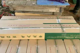 章丘大葱成功出圈 装进礼盒变身馈赠佳品图片