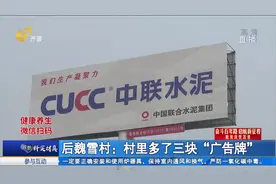高速旁竖起广告牌,村集体年增收20万成致富法宝,“贫困村”大变样视频封面