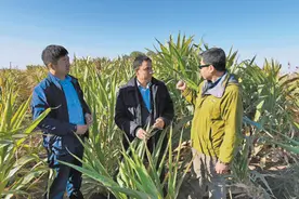 为咸海生态修复贡献力量图片