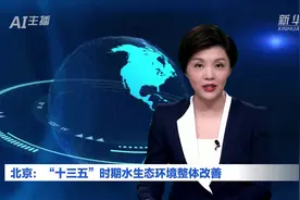 AI合成主播丨北京：“十三五”时期水生态环境整体改善视频封面