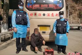 云南临沧查获两只国家二级保护动物豹猫图片