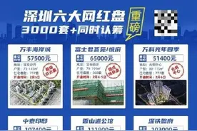 疯狂抢房！深圳银行被“挤爆”：网红楼盘"6选1"，最贵1000万起步！网友：神奇、魔幻……图片