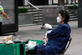 韩国：宠物经济火热　慰藉抑郁心灵图片