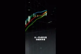 中国财富报道|抱团股涨得最好？未必，1月份这些个股独领风骚视频封面