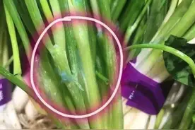 消费提示 │ “染色葱”怎么回事，你买到过吗？图片