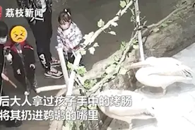 违规投喂带签烤肠？！网友怒了图片