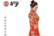 “80”后女研究生回村当上村支书图片
