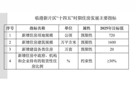 临港住房“十四五”规划：预计新增供应各类住房约20万套图片